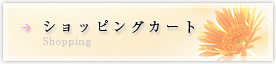 ショッピングカート