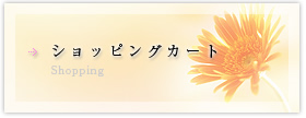 ショッピングカート